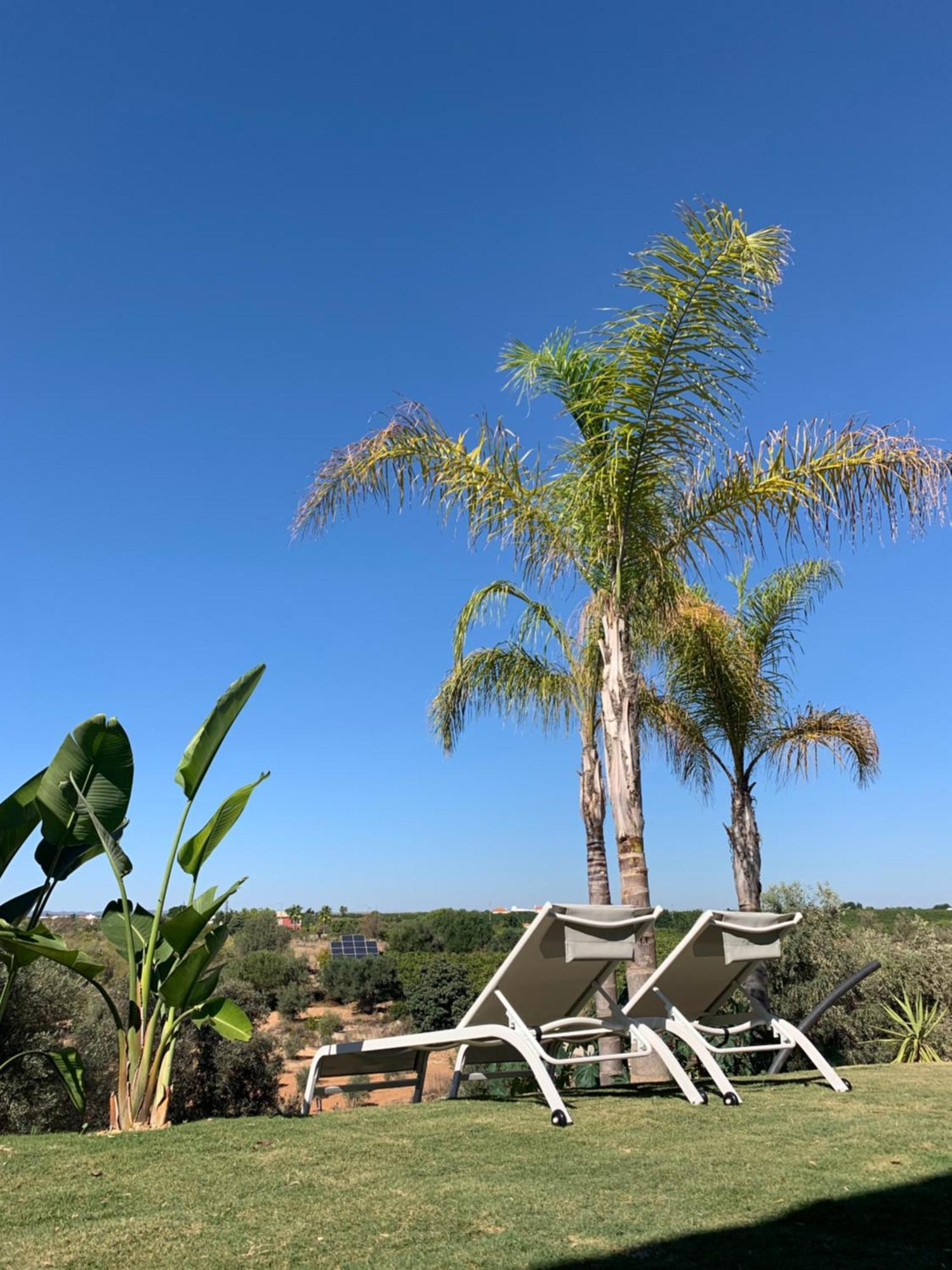 B&B Quinta A Fonte Tavira - Adults Only Exterior photo