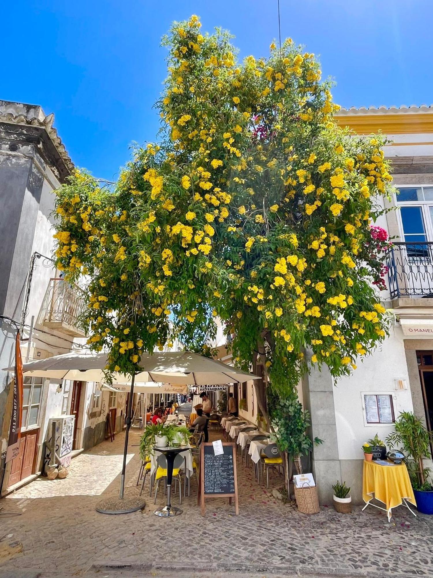 B&B Quinta A Fonte Tavira - Adults Only Exterior photo